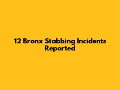 12 Bronx Stabbing Incidents Reported