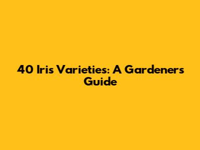 40 Iris Varieties: A Gardener's Guide