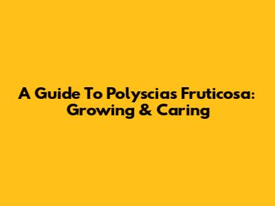 A Guide To Polyscias Fruticosa: Growing & Caring