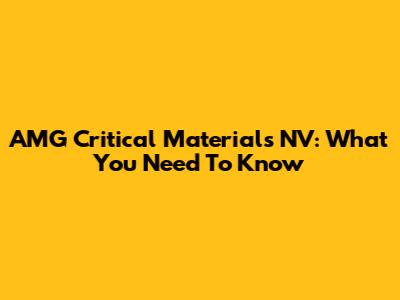AMG Critical Materials NV: What You Need To Know