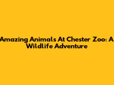 Amazing Animals At Chester Zoo: A Wildlife Adventure