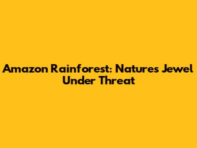 Amazon Rainforest: Nature's Jewel Under Threat