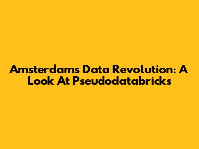 Amsterdam's Data Revolution: A Look At Pseudodatabricks