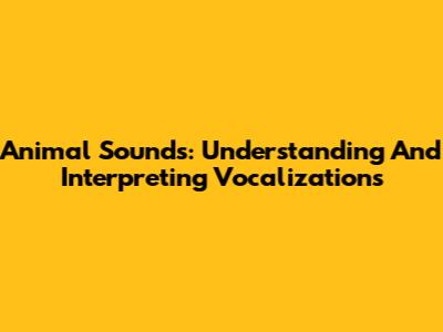 Animal Sounds: Understanding And Interpreting Vocalizations