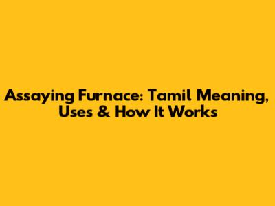 Assaying Furnace: Tamil Meaning, Uses & How It Works