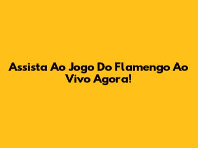 Assista Ao Jogo Do Flamengo Ao Vivo Agora!