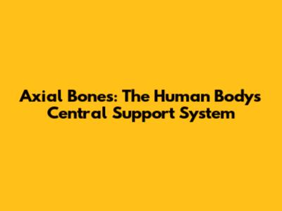 Axial Bones: The Human Body's Central Support System