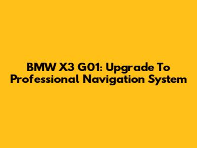 BMW X3 G01: Upgrade To Professional Navigation System