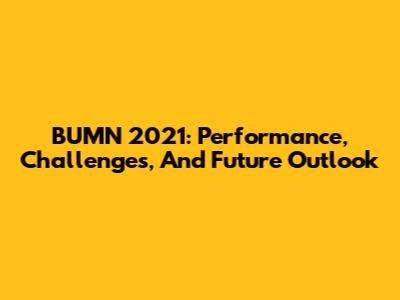 BUMN 2021: Performance, Challenges, And Future Outlook