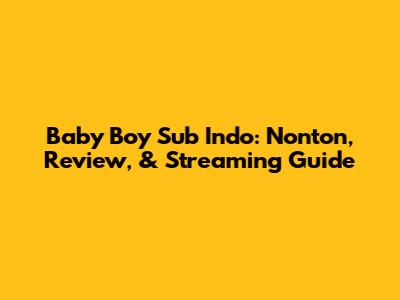 Baby Boy Sub Indo: Nonton, Review, & Streaming Guide