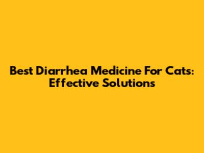 Best Diarrhea Medicine For Cats: Effective Solutions
