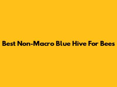 Best Non-Macro Blue Hive For Bees