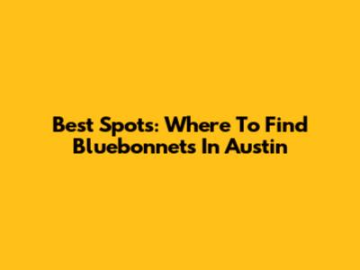 Best Spots: Where To Find Bluebonnets In Austin