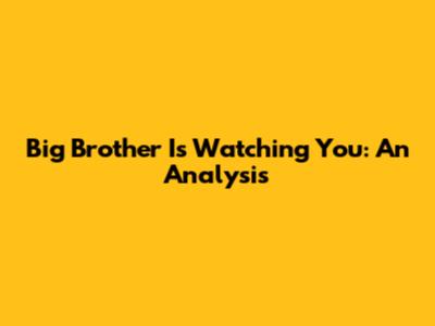 Big Brother Is Watching You: An Analysis