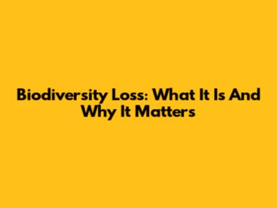 Biodiversity Loss: What It Is And Why It Matters
