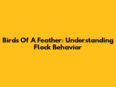 Birds Of A Feather: Understanding Flock Behavior