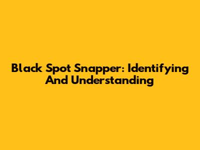 Black Spot Snapper: Identifying And Understanding