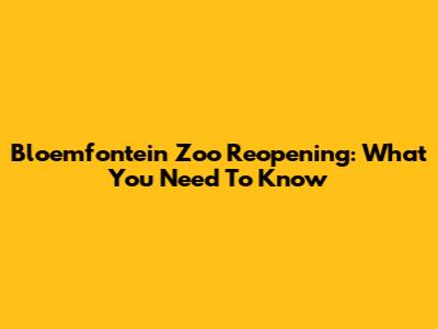 Bloemfontein Zoo Reopening: What You Need To Know