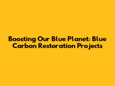 Boosting Our Blue Planet: Blue Carbon Restoration Projects