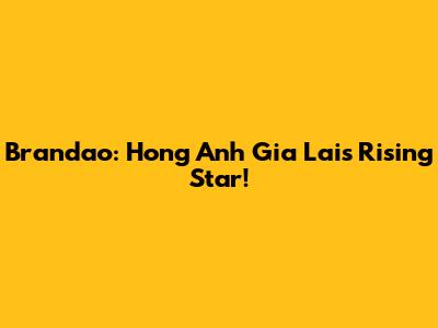 Brandao: Hong Anh Gia Lai's Rising Star!