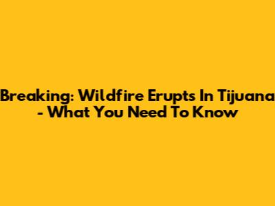 Breaking: Wildfire Erupts In Tijuana - What You Need To Know