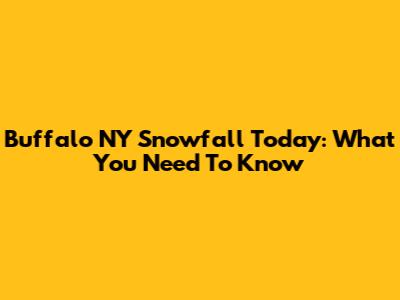 Buffalo NY Snowfall Today: What You Need To Know