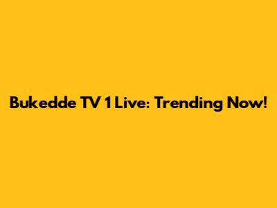 Bukedde TV 1 Live: Trending Now!