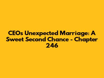 CEO's Unexpected Marriage: A Sweet Second Chance - Chapter 246