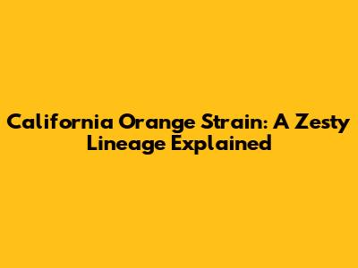 California Orange Strain: A Zesty Lineage Explained