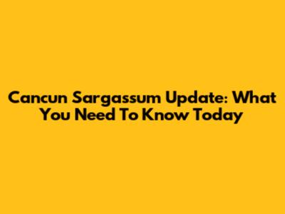 Cancun Sargassum Update: What You Need To Know Today