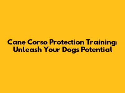 Cane Corso Protection Training: Unleash Your Dog's Potential