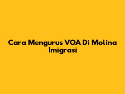 Cara Mengurus VOA Di Molina Imigrasi