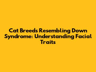 Cat Breeds Resembling Down Syndrome: Understanding Facial Traits