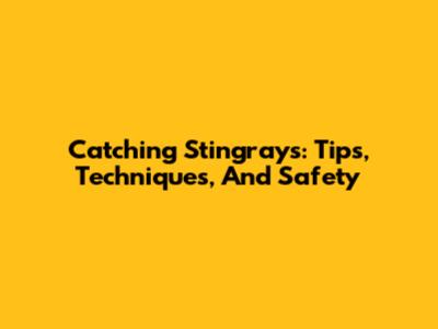 Catching Stingrays: Tips, Techniques, And Safety