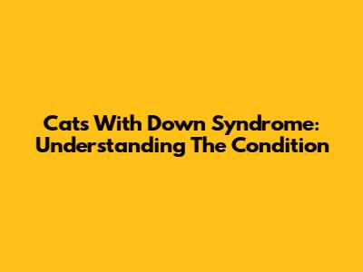 Cats With Down Syndrome: Understanding The Condition
