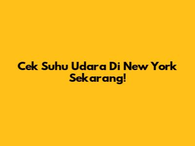 Cek Suhu Udara Di New York Sekarang!