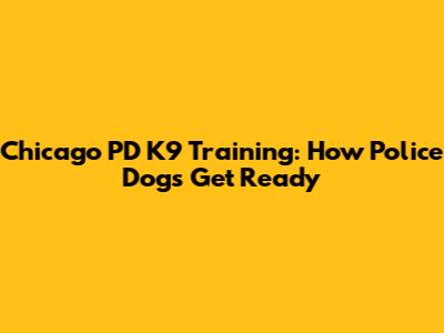 Chicago PD K9 Training: How Police Dogs Get Ready