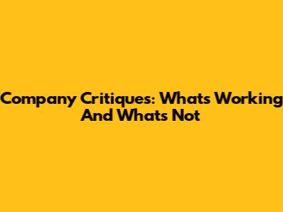 Company Critiques: What's Working And What's Not