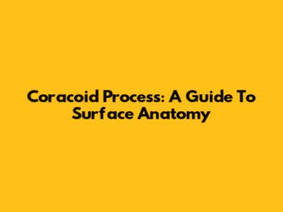 Coracoid Process: A Guide To Surface Anatomy