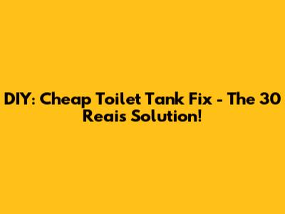 DIY: Cheap Toilet Tank Fix - The 30 Reais Solution!