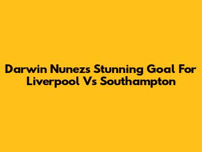 Darwin Nunez's Stunning Goal For Liverpool Vs Southampton