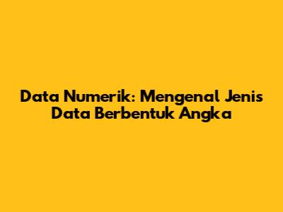 Data Numerik: Mengenal Jenis Data Berbentuk Angka