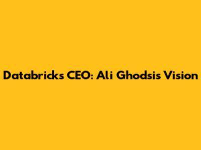 Databricks CEO: Ali Ghodsi's Vision