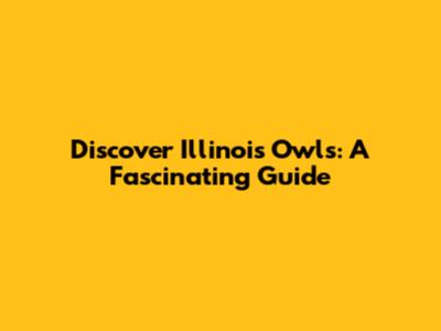 Discover Illinois Owls: A Fascinating Guide