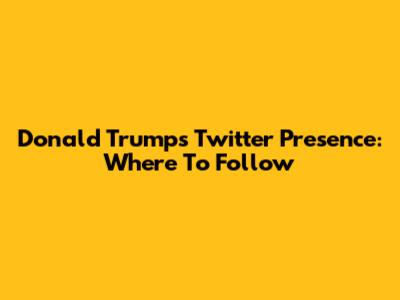 Donald Trump's Twitter Presence: Where To Follow