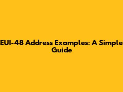 EUI-48 Address Examples: A Simple Guide