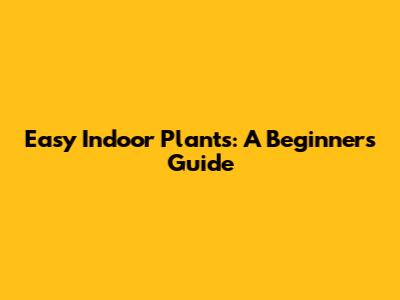 Easy Indoor Plants: A Beginner's Guide