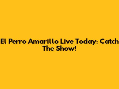 El Perro Amarillo Live Today: Catch The Show!