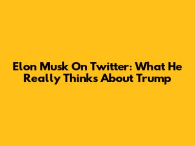 Elon Musk On Twitter: What He Really Thinks About Trump