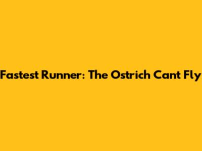Fastest Runner: The Ostrich Can't Fly